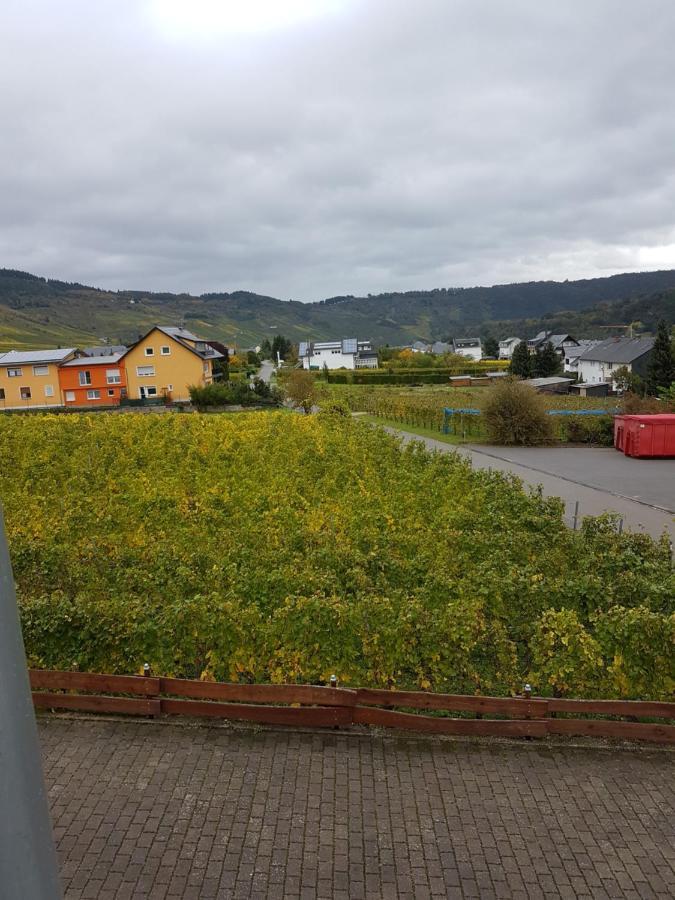 Ferienweinhaus Roemer-Knodt Kröv Eksteriør bilde